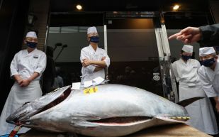 The Side Effects of Eating Canned Tuna Every day; what happens to my body if I eat it?