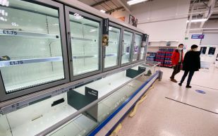 Storage Ideas to Maximize the Space Your Freezers Offer